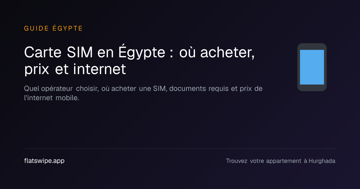 Carte SIM en Égypte : où acheter, prix et internet — illustration